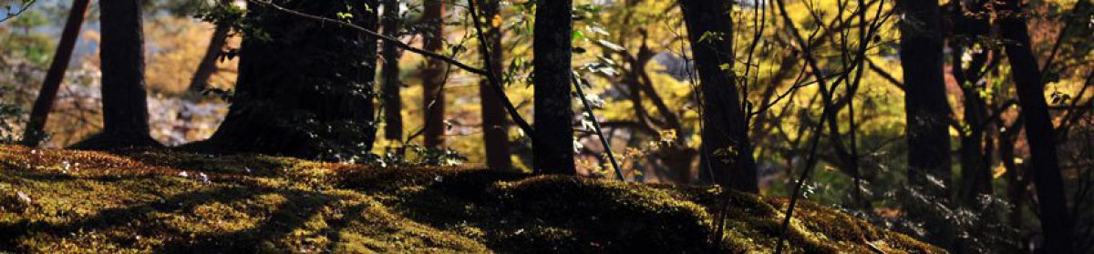 Studio Malnati di Malnati Pietro